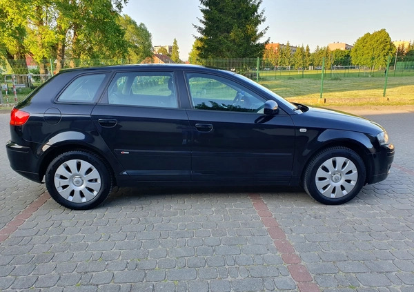 Audi A3 cena 23900 przebieg: 151022, rok produkcji 2006 z Orneta małe 172